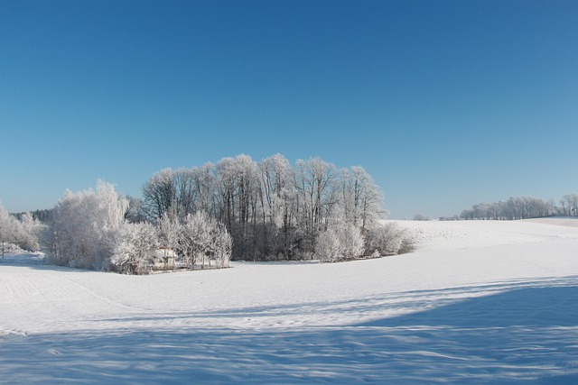 雪冬季景观冬季