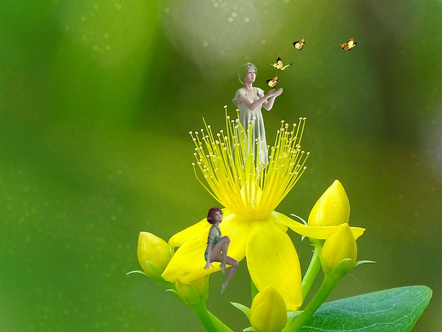 幻想精灵浪漫绿