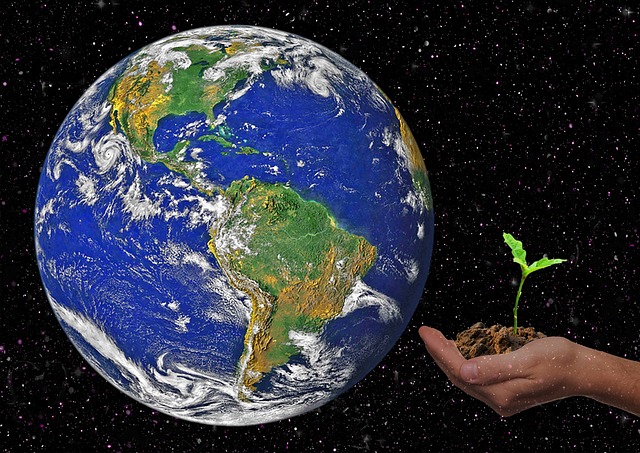 地球手芽希望地球