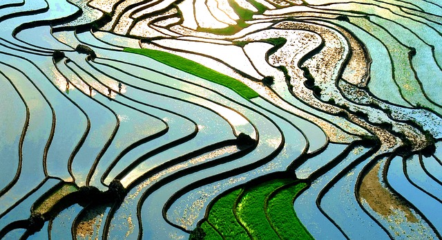 老蔡梯田蓝色阳光