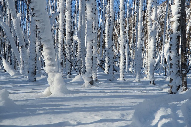 冬季冰雪冰冻