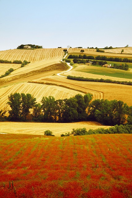 意大利品牌乡村自然之旅