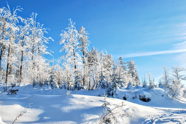 雪冬寒自然景观