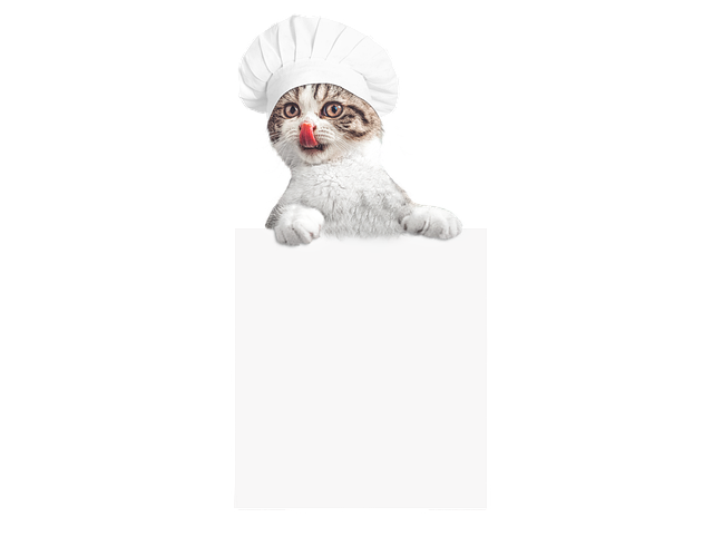 厨师小猫小猫烹饪厨师