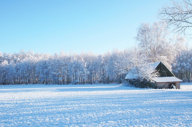 冬季森林田野雪冷