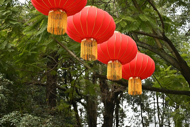 灯笼新年亚洲装饰