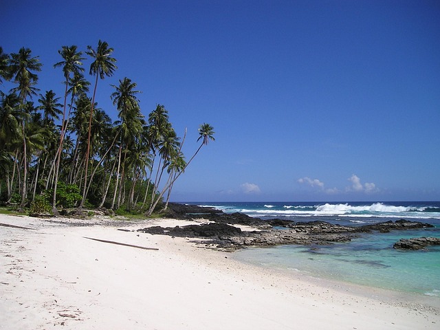 棕榈树海滩梦想海滩