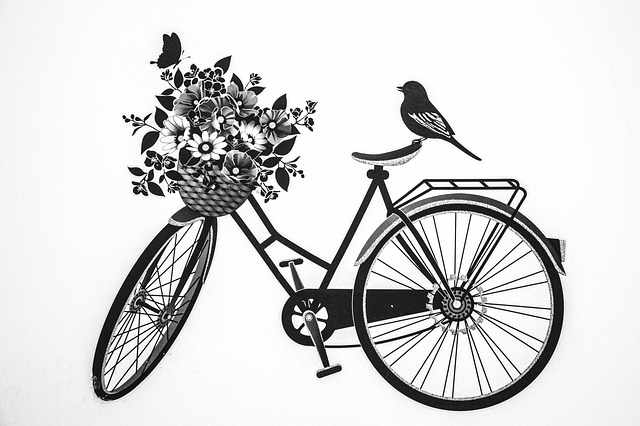 Bycycle鸟德科黑白