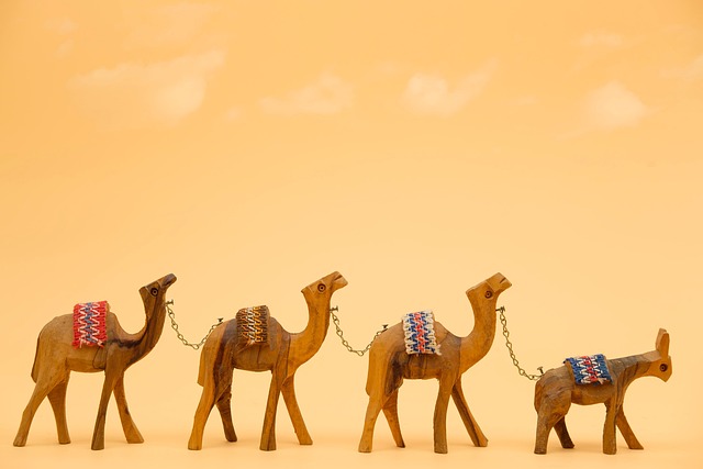 商队骆驼单峰驼