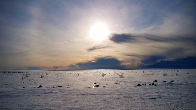 冬季雪地景观自然