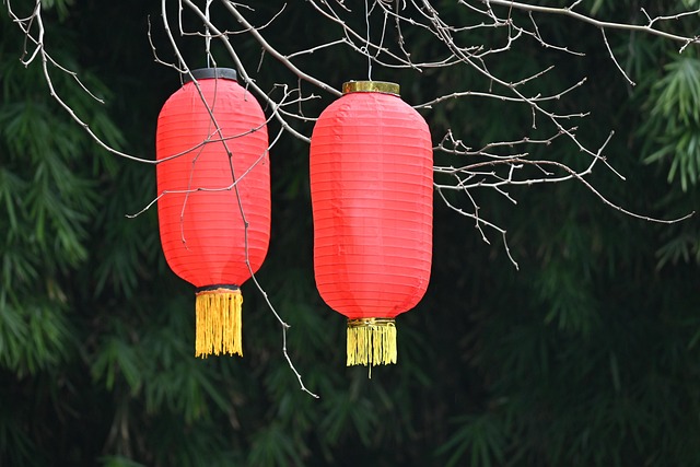 春节灯笼节