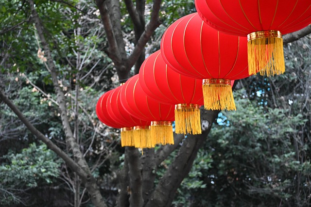 灯笼新年装饰亚洲