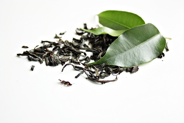 绿茶茶绿色健康叶