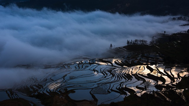 云南元阳梯田