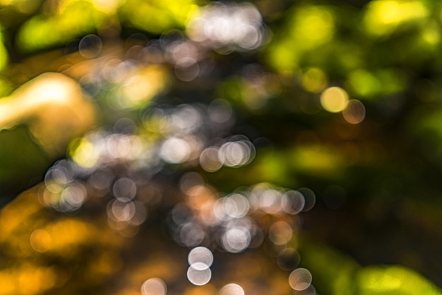 散景模糊背景模糊