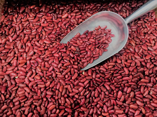 红芸豆豆类