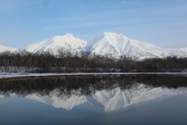 初雪湖冬雪林
