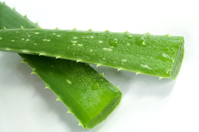 芦荟水疗绿色化妆品