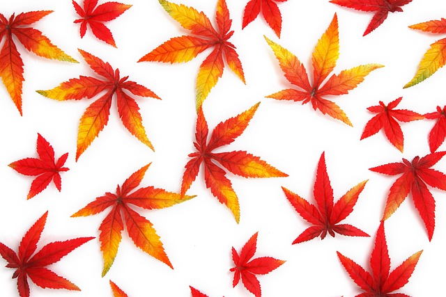 抽象的秋天背景明亮