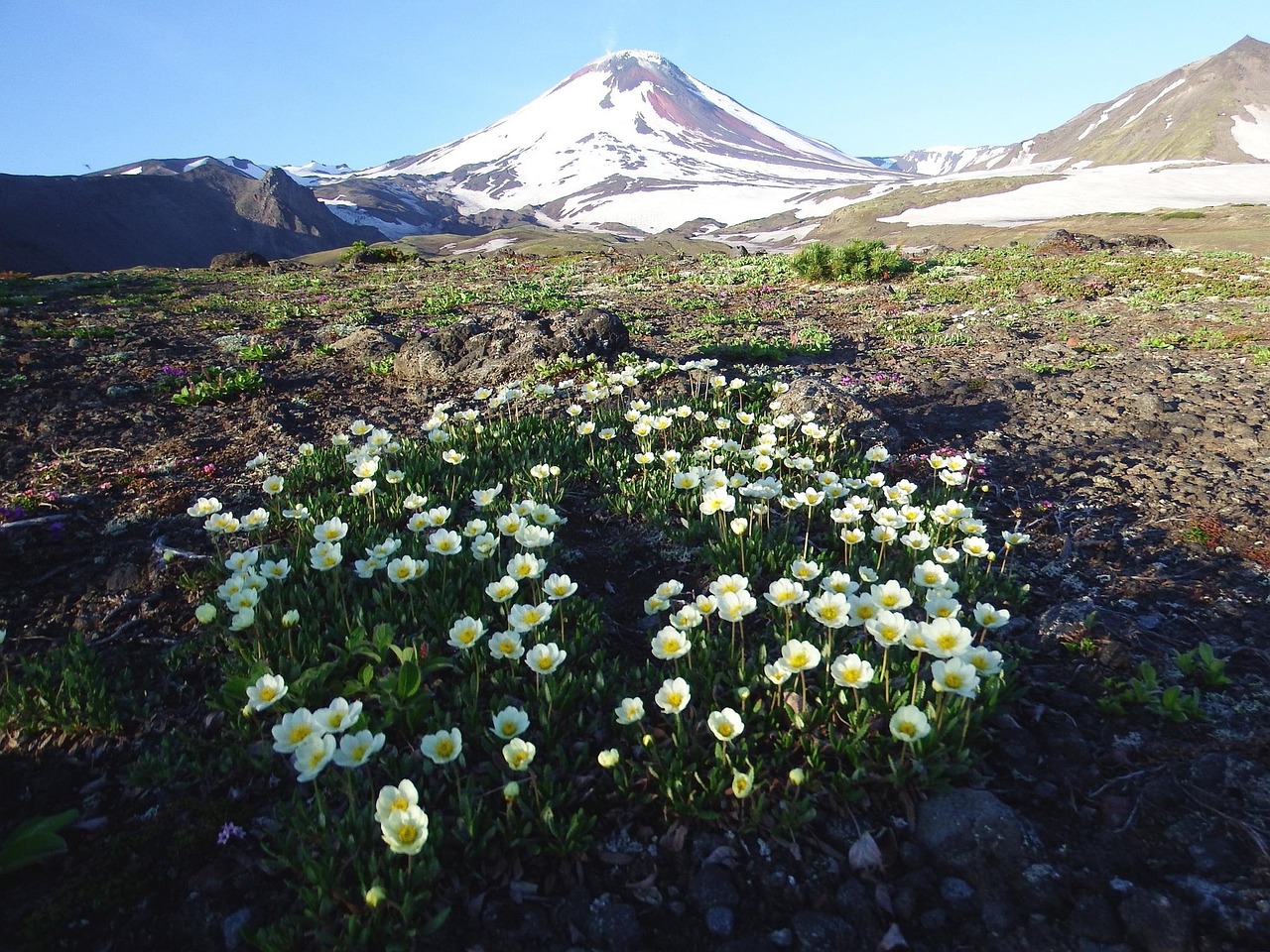 阿瓦钦斯基火山夏季