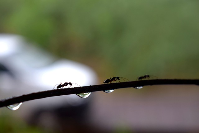 水滴落下干净清新