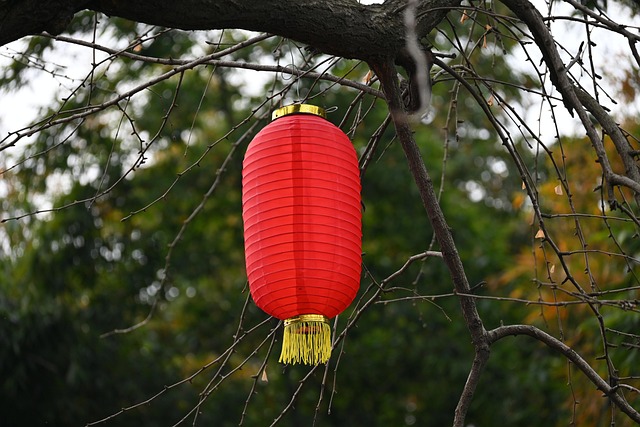 灯笼中国新年花园