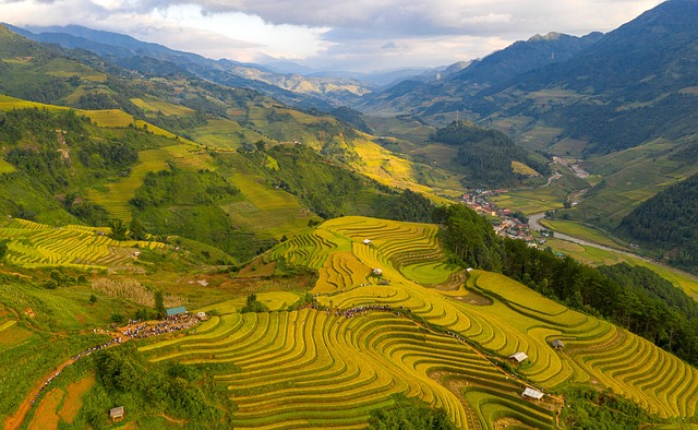 梯田田地山地自然