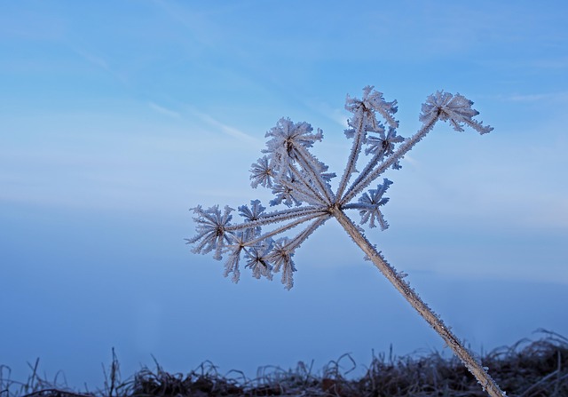 白霜冬季自然季节