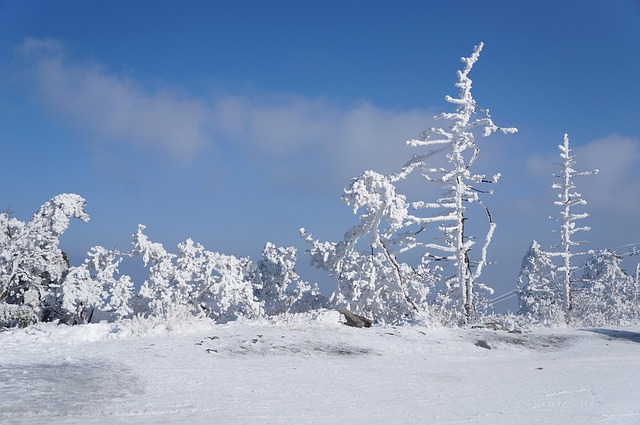 雪韩国冬季自然山