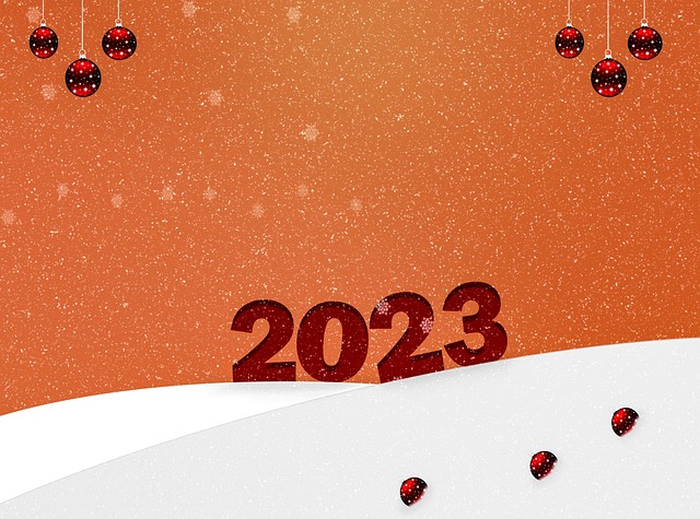 2023年新年雪花