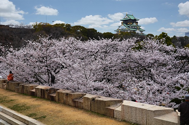 大阪大阪城堡地标