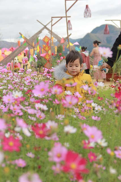 小男孩花卉花园