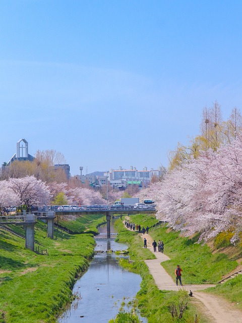 树桥河城