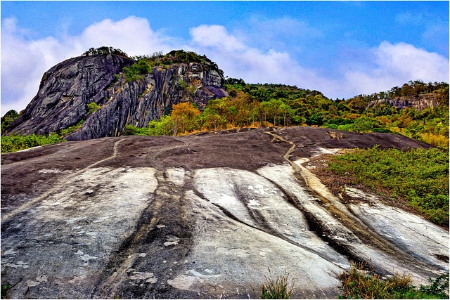 越南山地景观树木