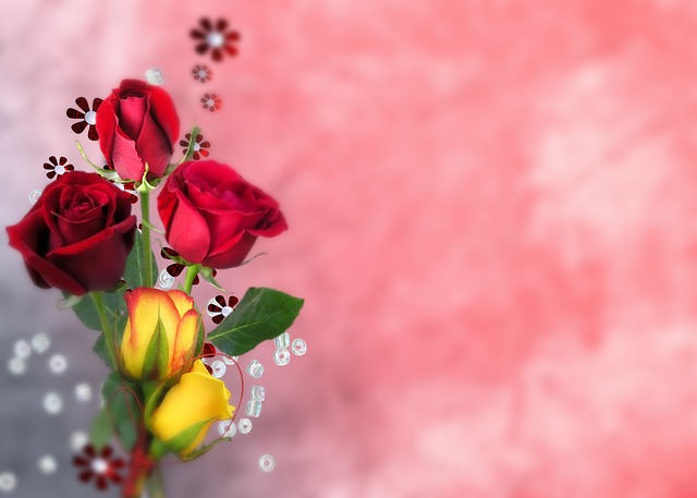 玫瑰花束插花