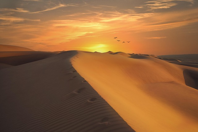 沙漠沙地自然日落