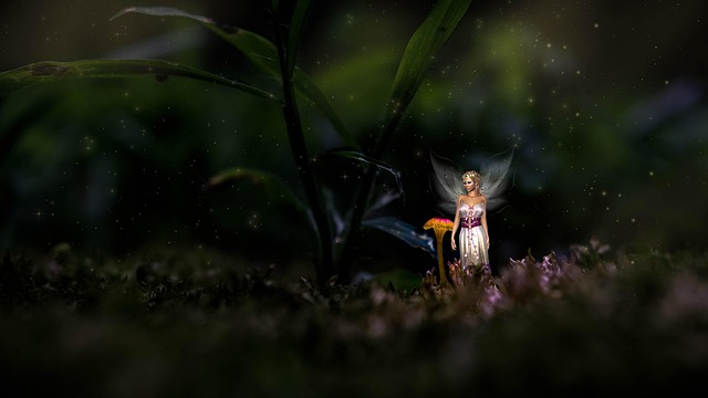 梦幻童话森林苔藓沉默