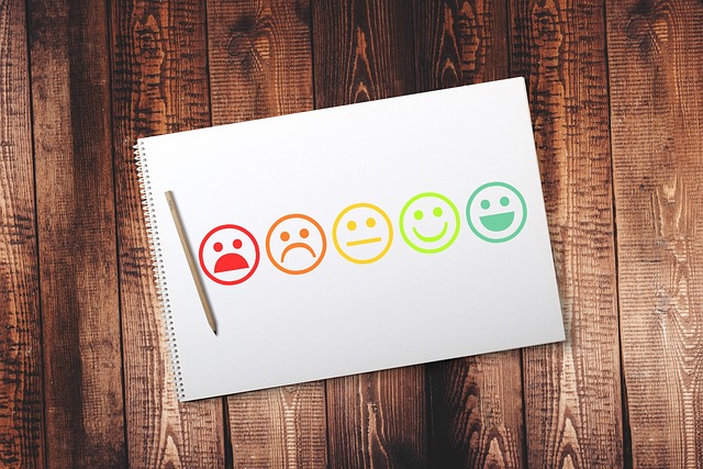 smileys客户满意度评价