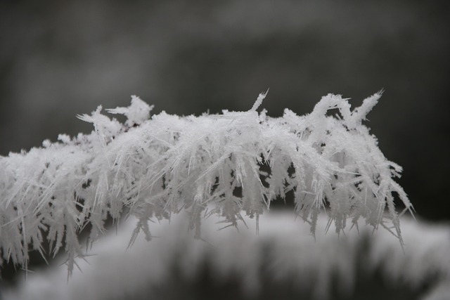 冬季自然霜冻季节宏观