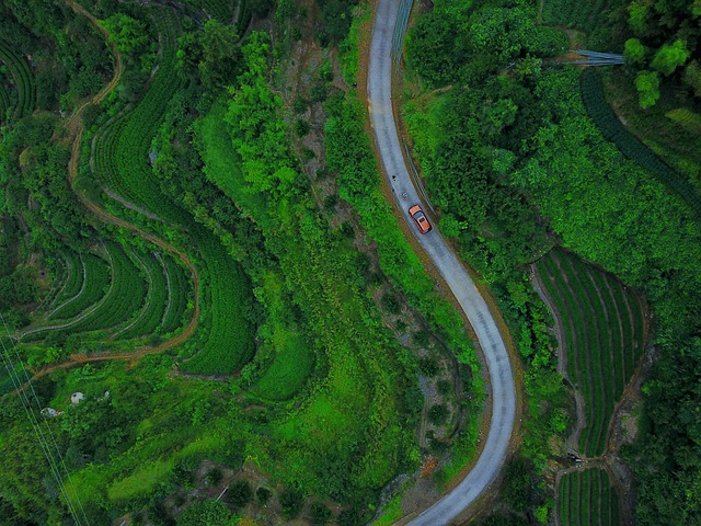 航空摄影路线林车