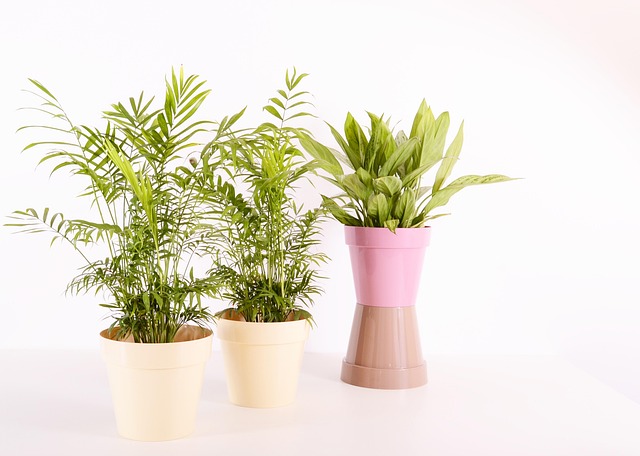 植物花盆塑料色
