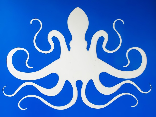 章鱼海洋生物街头艺术