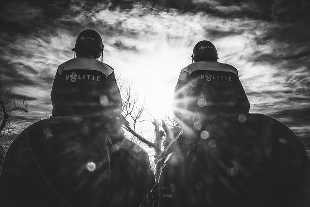 警察马单色