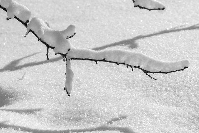 西伯利亚冬季自然雪霜