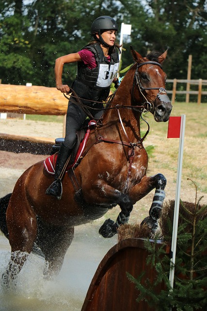 haras du pin国家双头螺柱